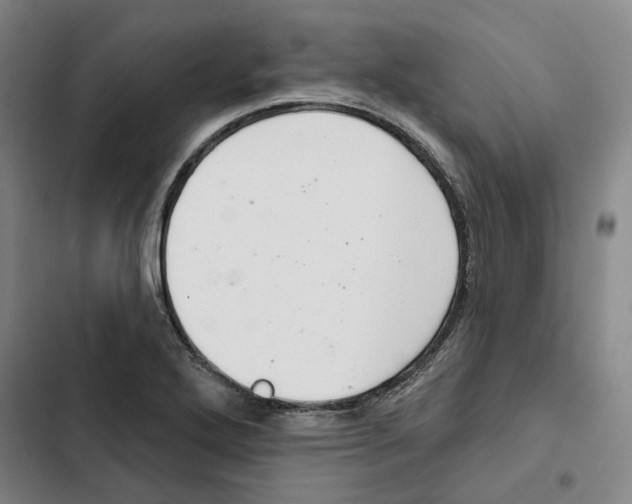 X0000102361272200808291216