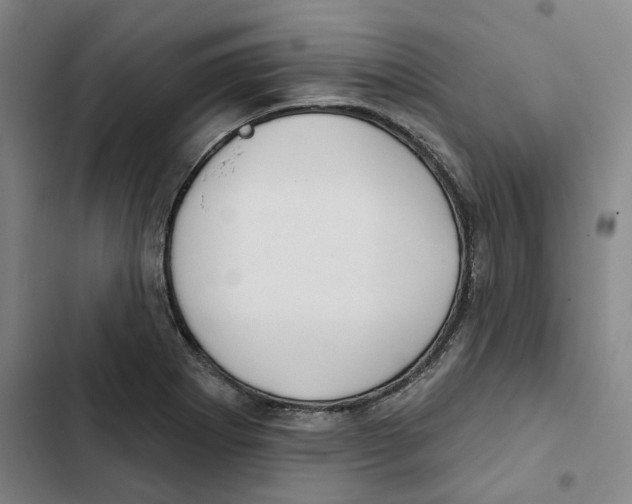 X0000102361273200808291216