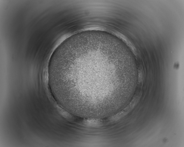 X0000102361274200808291216