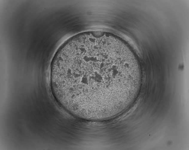 X0000102361275200808291216