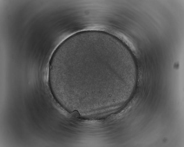 X0000102361276200808291216