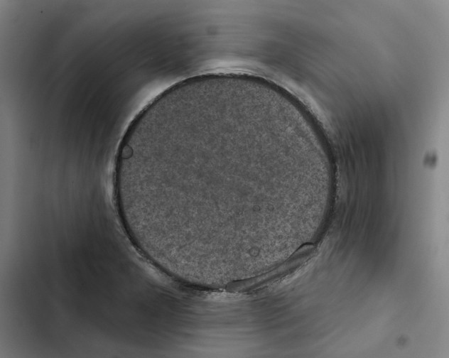 X0000102361277200808291216