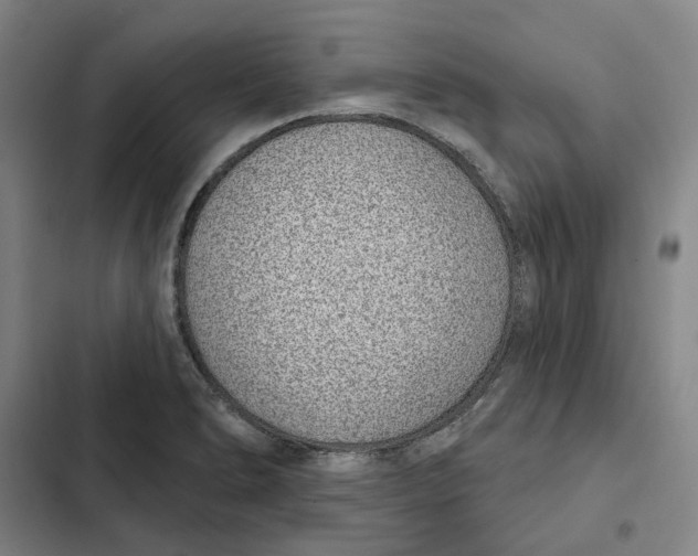 X0000102361278200808291216