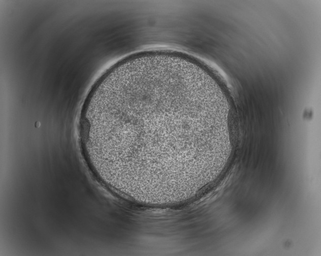 X0000102361279200808291216