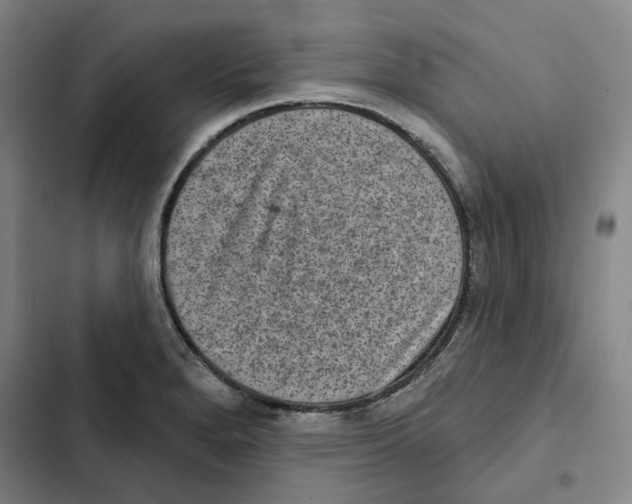 X0000102361280200808291216