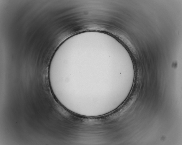 X0000102361281200808291216