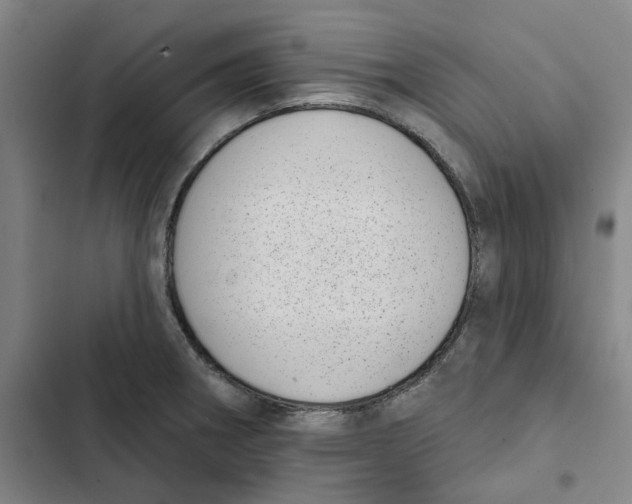 X0000102361282200808291216