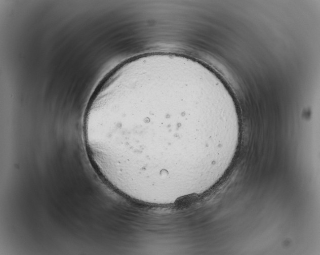 X0000102361283200808291216