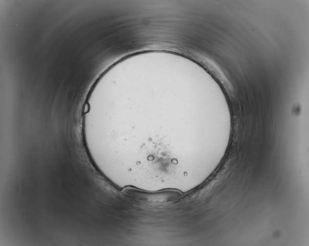 X0000102361284200808291216