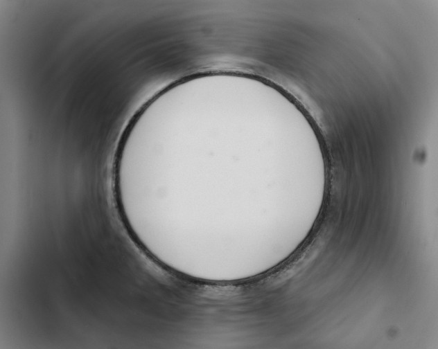 X0000102361285200808291216