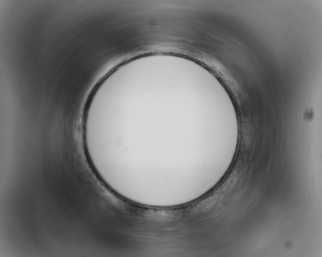 X0000102361286200808291216