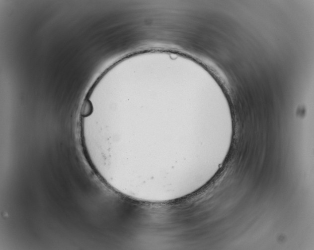 X0000102361287200808291216