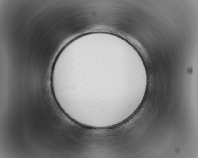 X0000102361288200808291216