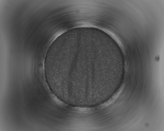 X0000102361289200808291216