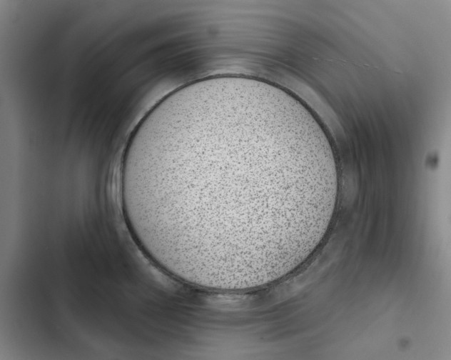 X0000102361290200808291216