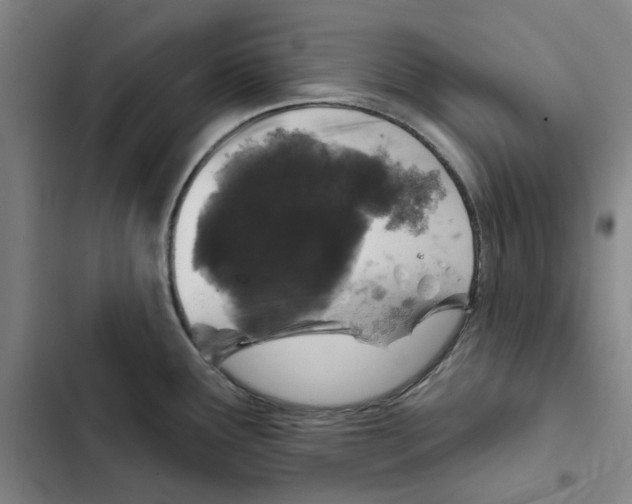 X0000102361291200808291216