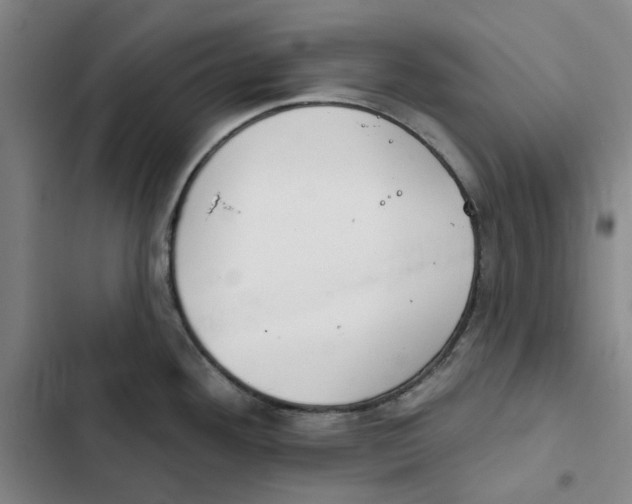 X0000102361292200808291216