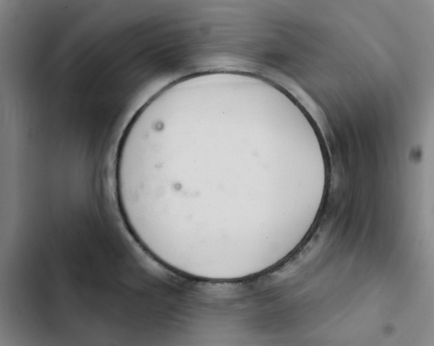 X0000102361293200808291216