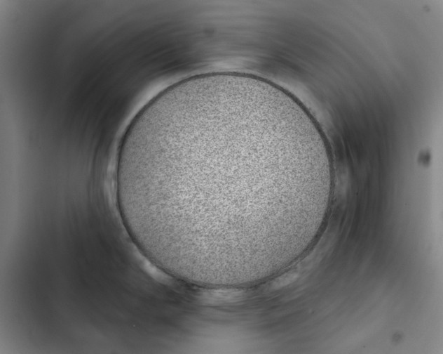 X0000102361294200808291216