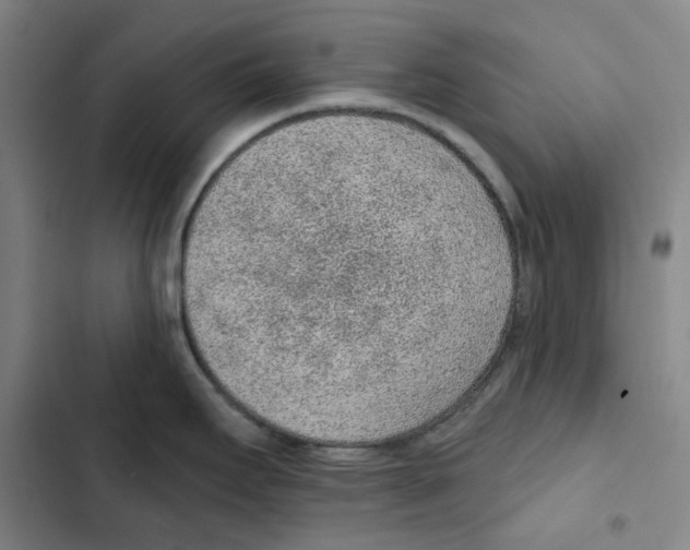 X0000102361295200808291216