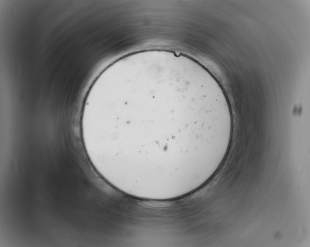 X0000102361296200808291216