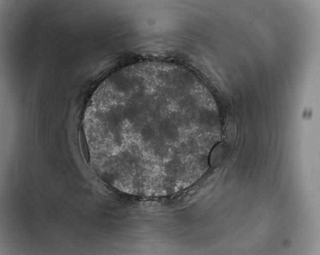 X0000102361297200808291215