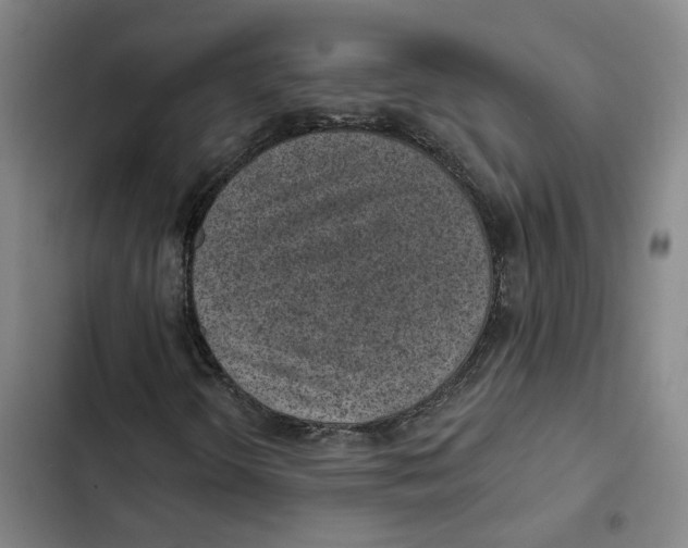 X0000102361298200808291215