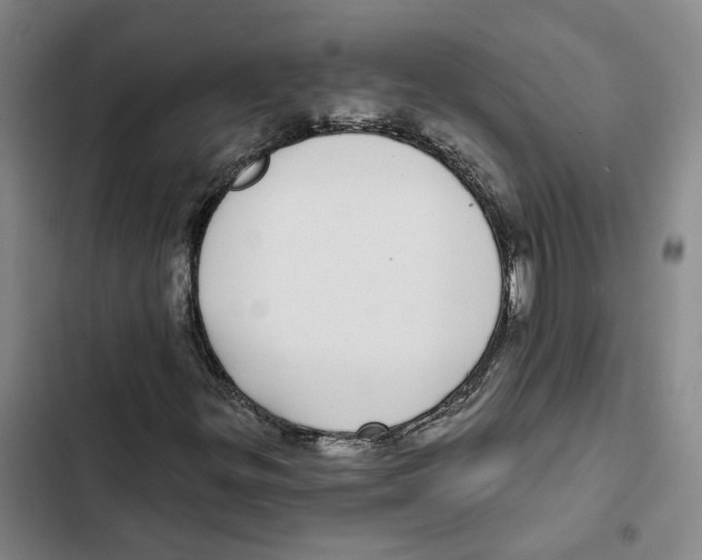 X0000102361299200808291215