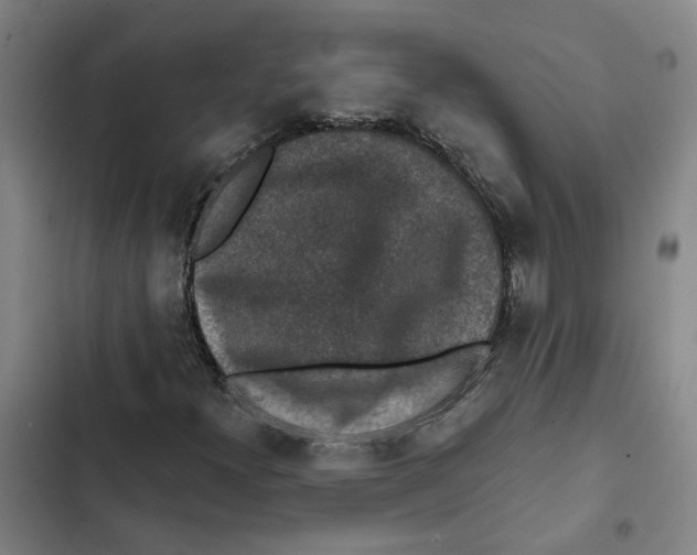 X0000102361300200808291215