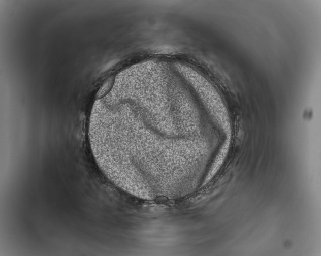 X0000102361301200808291215