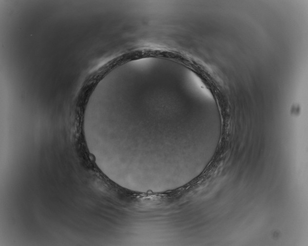 X0000102361303200808291215