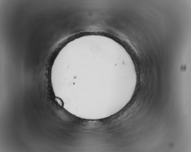 X0000102361304200808291215