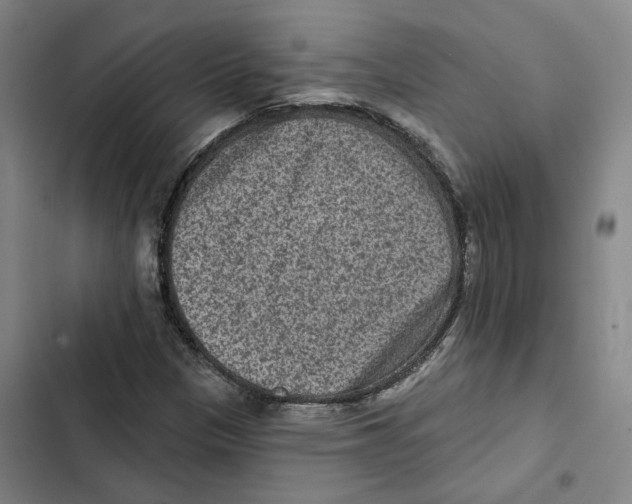 X0000102361305200808291215