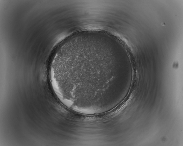 X0000102361306200808291215