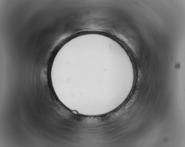 X0000102361307200808291215