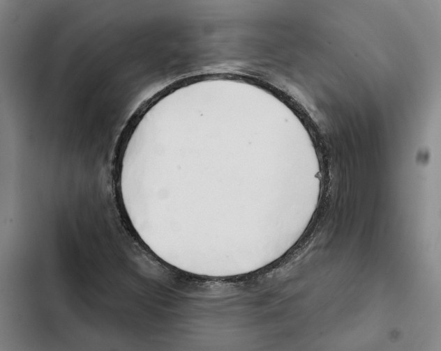 X0000102361308200808291215