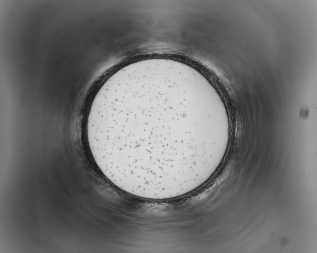 X0000102361309200808291215