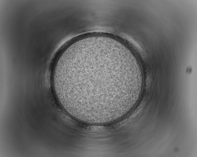 X0000102361310200808291215