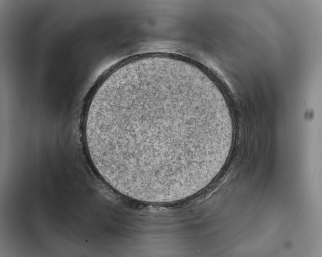 X0000102361312200808291215