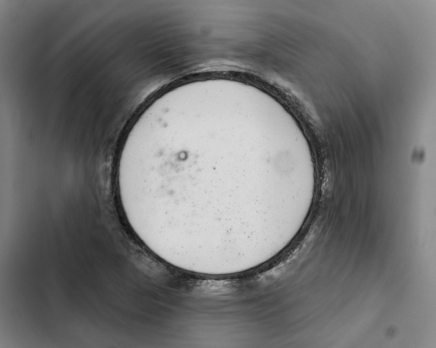 X0000102361313200808291215