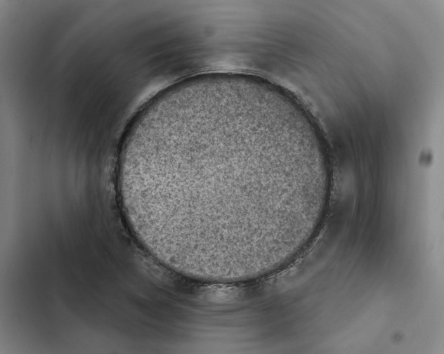 X0000102361314200808291215