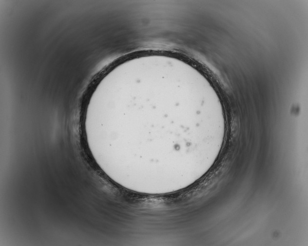 X0000102361315200808291215