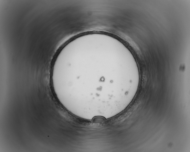 X0000102361316200808291215