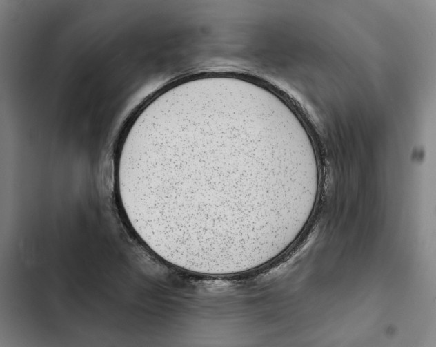 X0000102361317200808291215