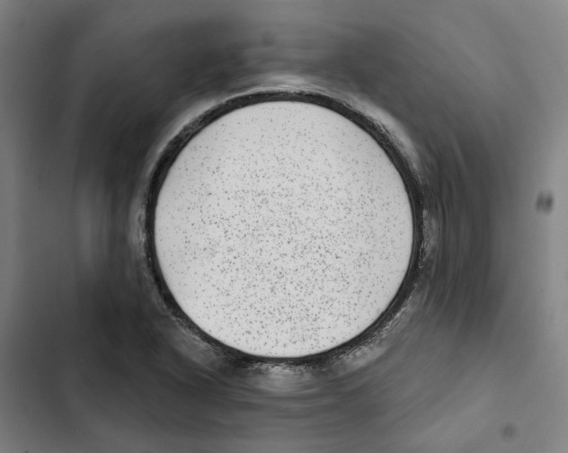 X0000102361318200808291215