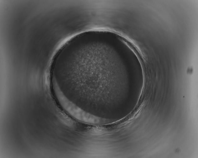 X0000102361319200808291215