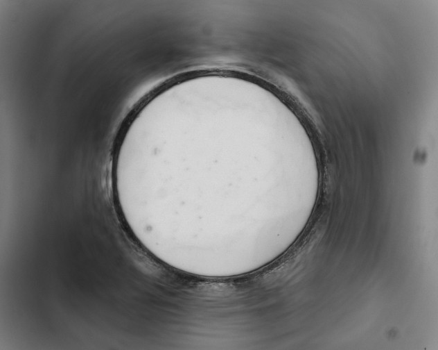 X0000102361320200808291215