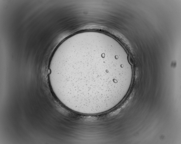 X0000102361321200808291215