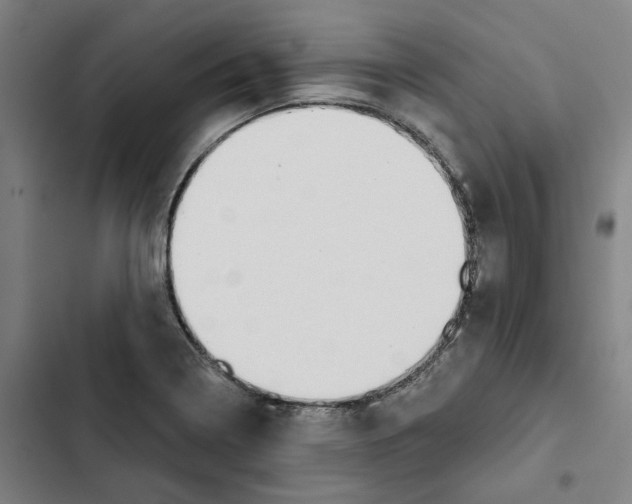 X0000102361322200808291215