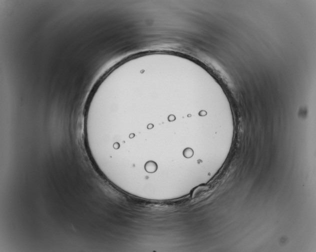 X0000102361324200808291215